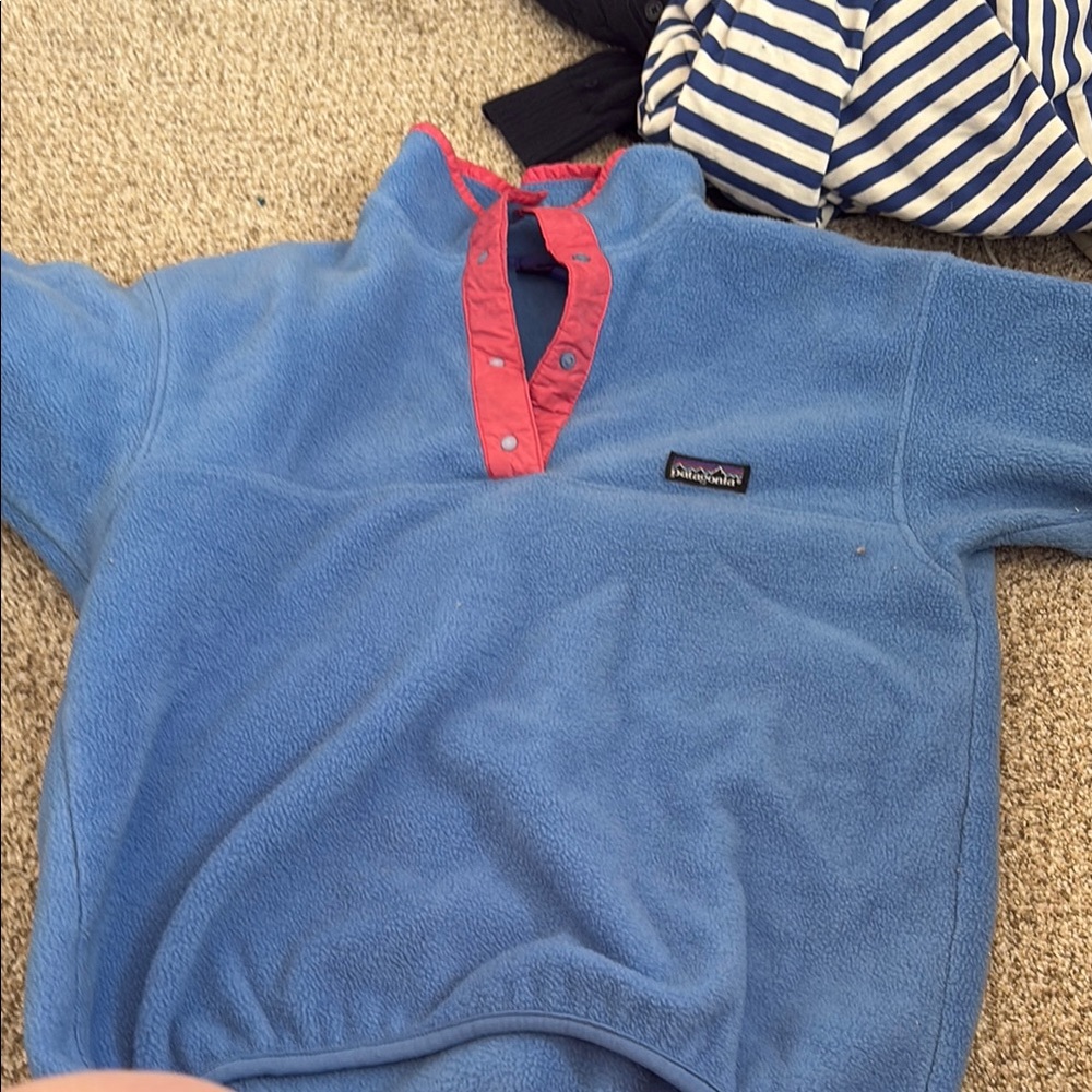 Patagonia Blue and Red Snap-T Fleece
